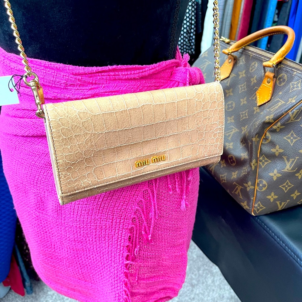 Miu Miu Nude Croc leather long wallet and New Coach chain